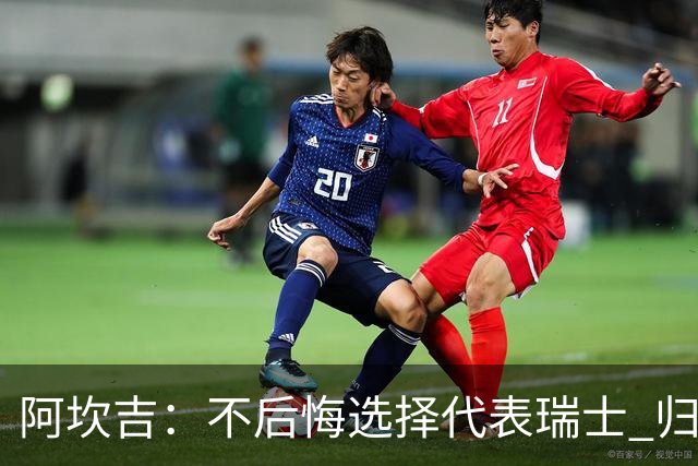 阿坎吉：不后悔选择代表瑞士 归属感不取决于外表或父母出身